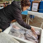 Feira da 230 agora é no Espaço Cultural no Bairro Centro