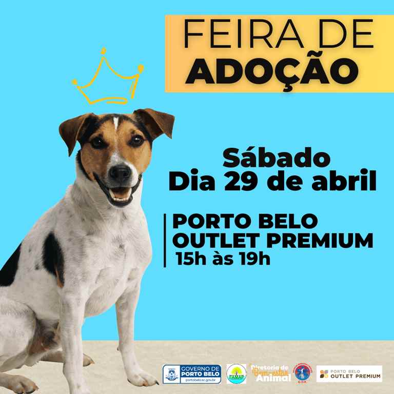 PORTO BELO - Porto Belo realiza Feira para doação de animais neste sábado