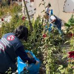 Saúde segue cronograma semanal de mutirões contra a Dengue