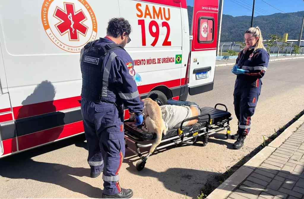 Cachorro sobe na maca e entra em ambulância após tutor passar mal – Foto: Leandro Bandeira