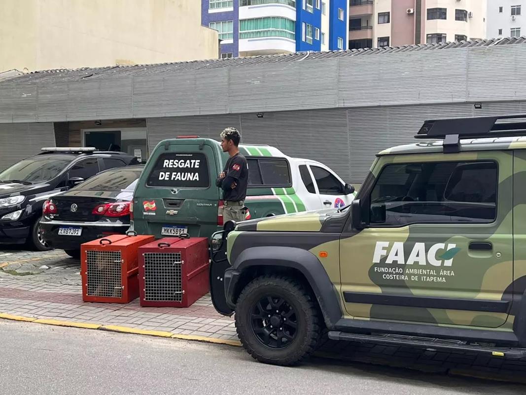 FAACI e Polícia Militar prenderam homem denunciado por maus tratos a cão em Itapema. – Foto: Divulgação/Grupo de Operações e Resgate