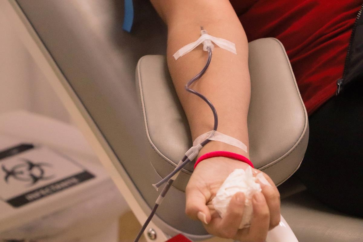 PORTO BELO - Porto Belo promove campanha anual para incentivar a doação de sangue