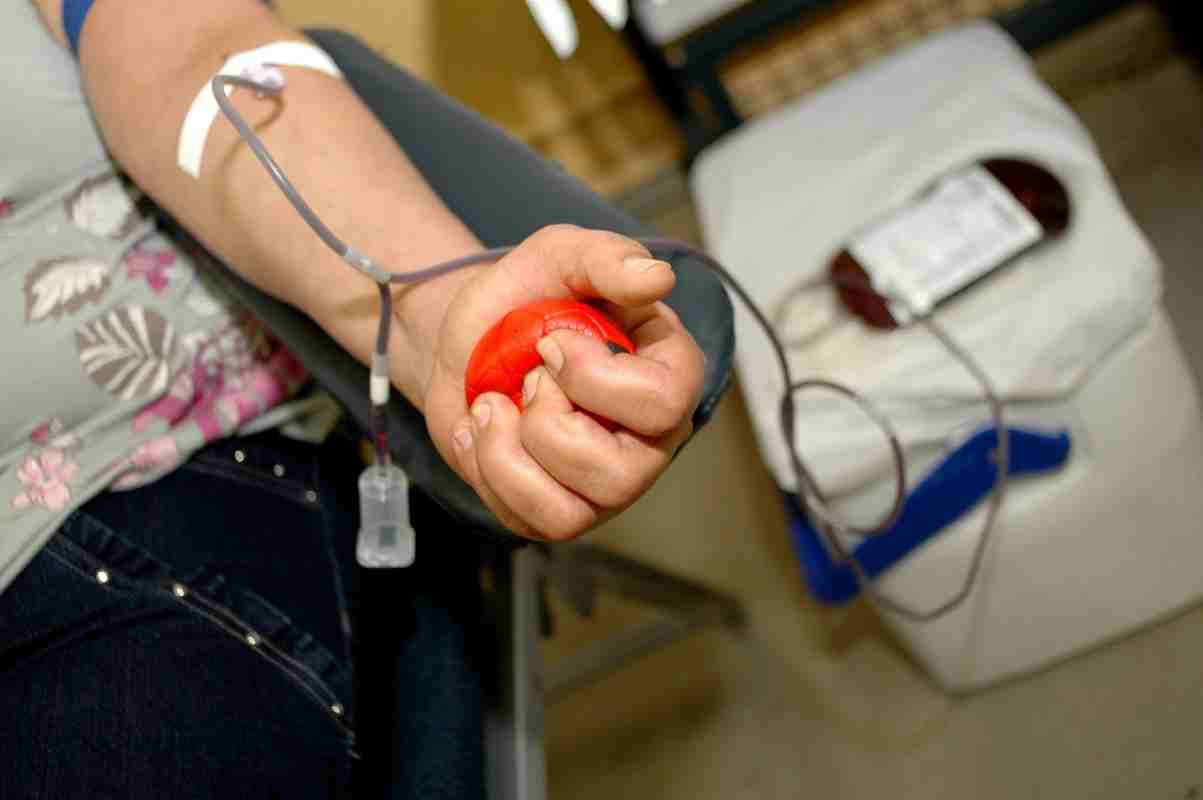 Prefeitura de Itapema irá disponibilizar veículo para interessados em doar sangue no Hemosc