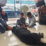 PORTO BELO - Porto Belo utiliza cães para aprimorar processo terapêutico em pacientes autistas