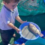 Alunos da Rede Municipal celebram os 63 anos de Itapema com atividades educativas e culturais