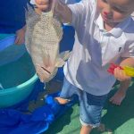 Alunos da Rede Municipal celebram os 63 anos de Itapema com atividades educativas e culturais