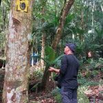 Itapema participa de maior evento mundial de observação de aves