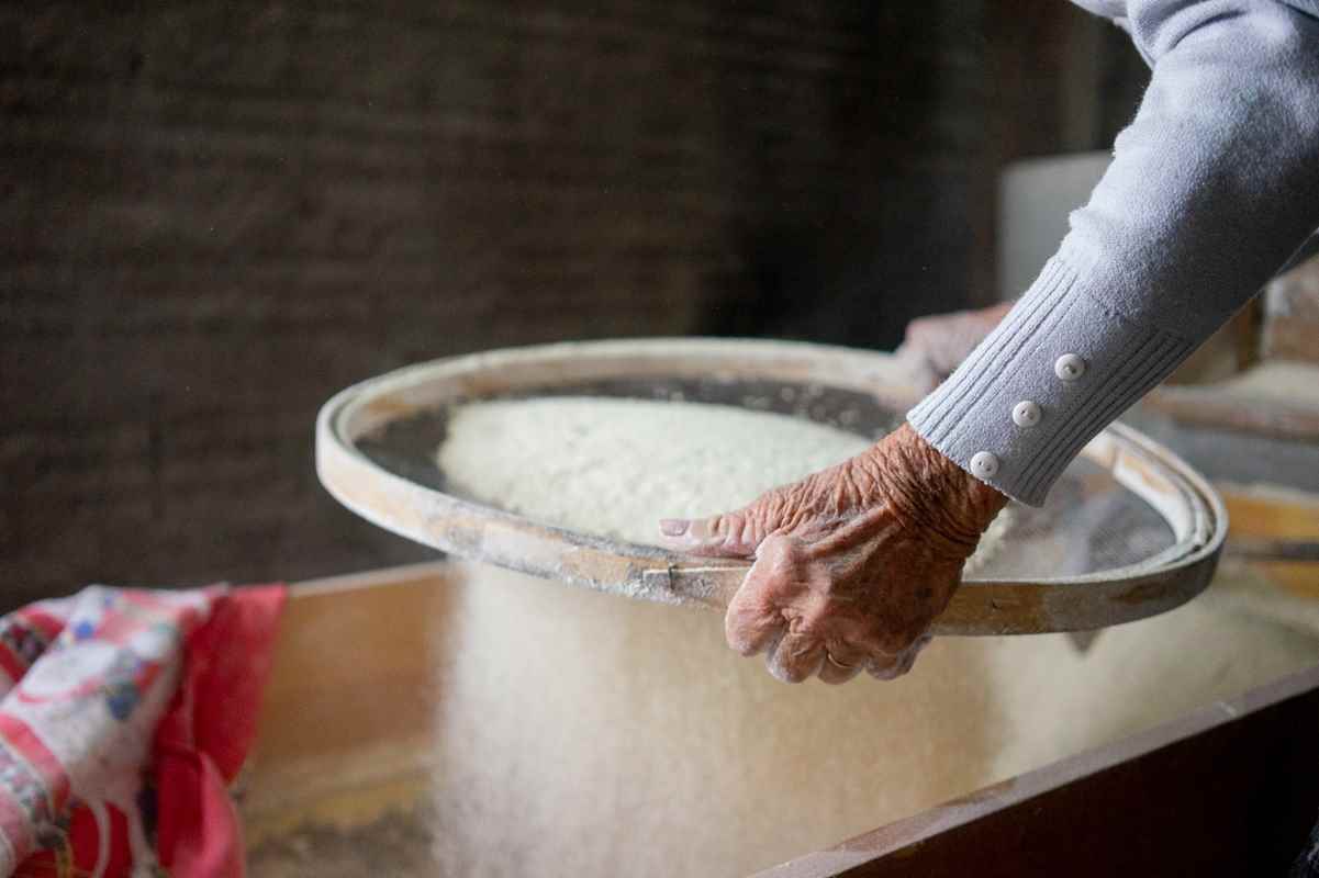 Grande Farinhada do Sertão reúne farinheiros da Rede Catarinense de Engenhos de Farinha em Bombinhas - Foto: Alvaro Fiore
