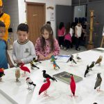 Semana do Meio Ambiente segue com oficinas, exposições e atividades nas escolas de Itapema