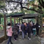 Passeio ao zoológico promove lazer e bem-estar a pacientes do CAPS de Itapema