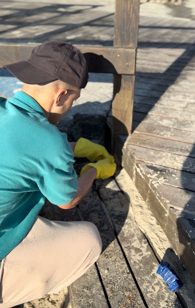 Prefeitura inicia desratização da orla de Itapema