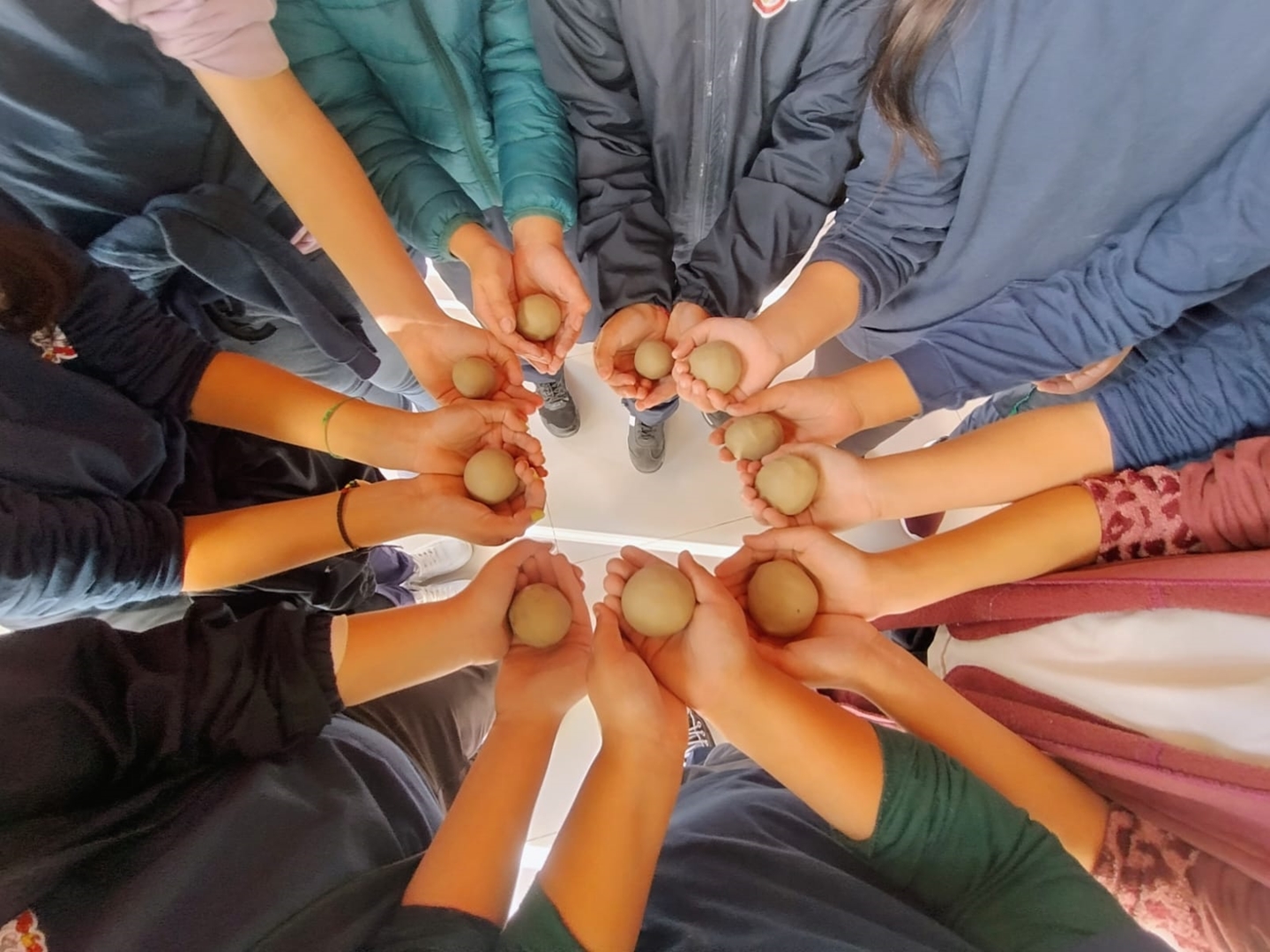 Projeto “Conhecendo a Mata Atlântica” envolve estudantes em atividade de educação ambiental