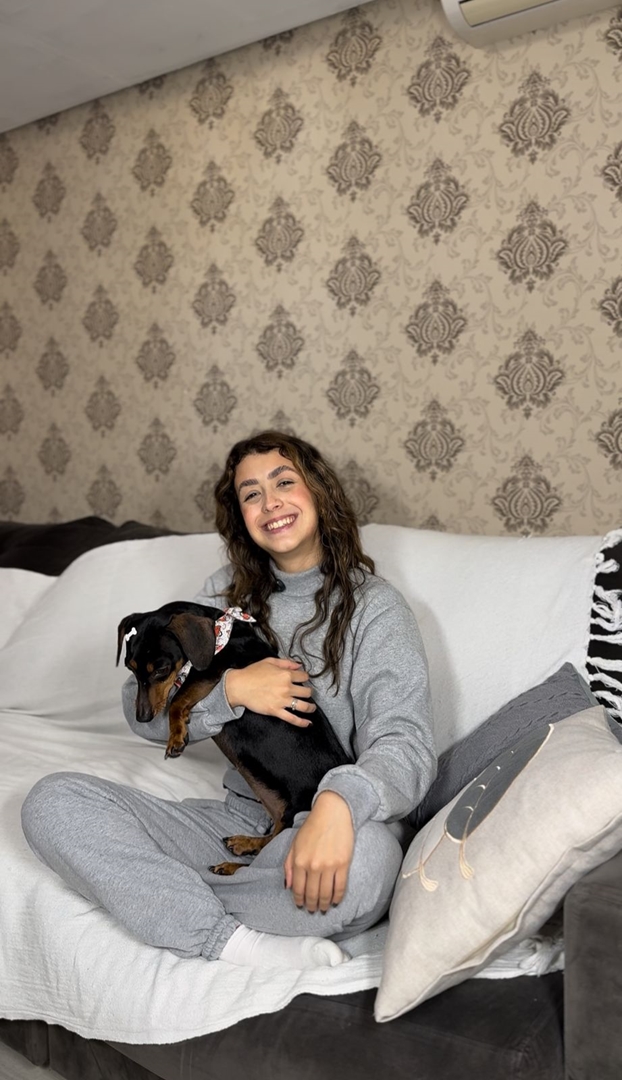 Abra sua casa e seu coração: Itapema cadastra lares temporários para cães e gatos resgatados