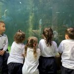 Pequenos Navegantes: CMEI Alto São Bento finaliza projeto com visita ao Oceanic Aquarium