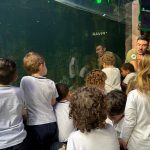 Pequenos Navegantes: CMEI Alto São Bento finaliza projeto com visita ao Oceanic Aquarium