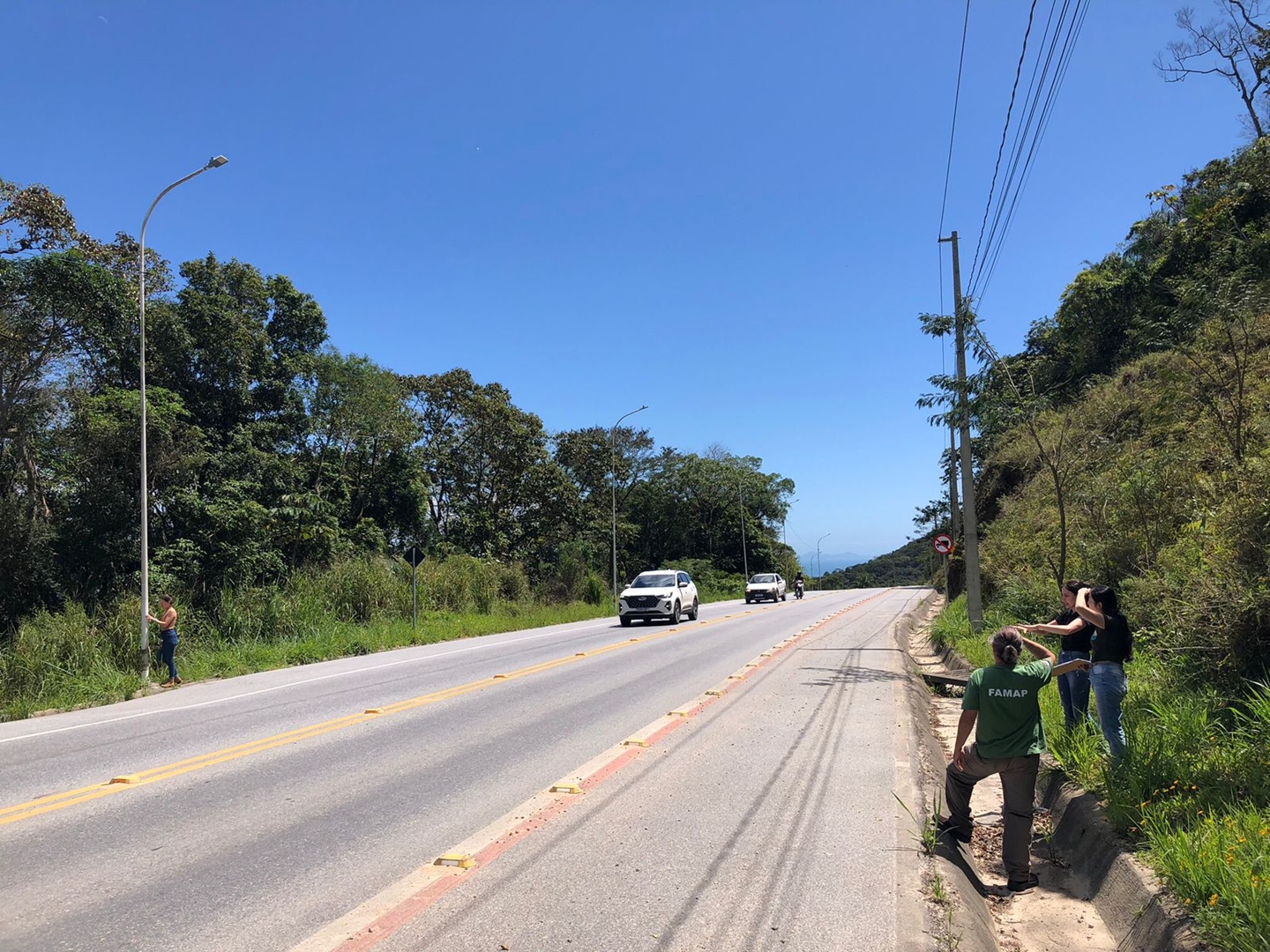 Governo de Porto Belo realiza vistoria técnica para avaliar medidas de proteção à fauna no Morro de Zimbros