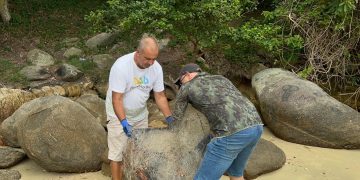 Porto Belo promove ação para retirada de lixo dos costões