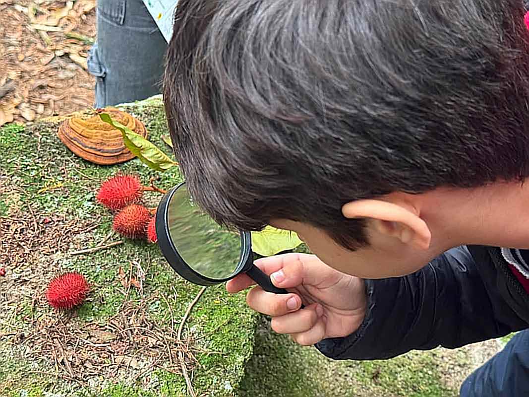 Educação ambiental leva estudantes da teoria à prática no Refúgio de Vida Silvestre de Itapema