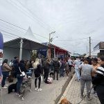 Mutirão de castração atende mais de 340 cães e gatos em Itapema