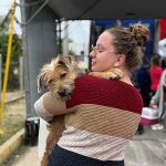 Mutirão de castração atende mais de 340 cães e gatos em Itapema
