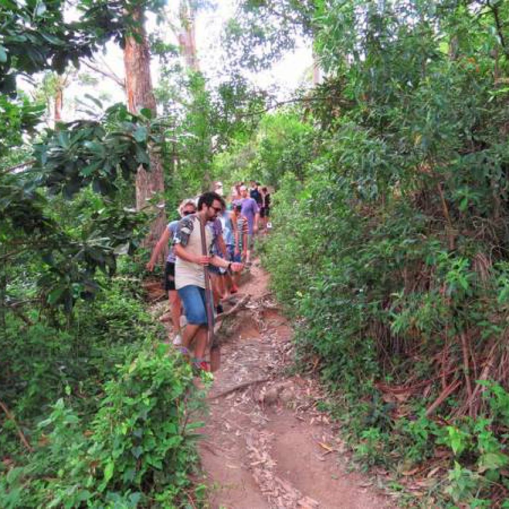 Mirante e Trilha do Morro do Macaco em Bombinhas: Conheça e se encante -  Morada Baden Baden